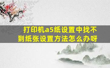 打印机a5纸设置中找不到纸张设置方法怎么办呀