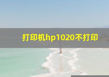 打印机hp1020不打印