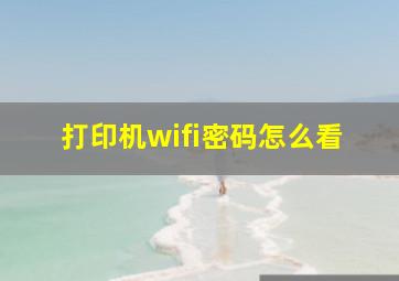 打印机wifi密码怎么看