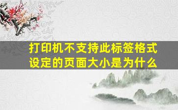 打印机不支持此标签格式设定的页面大小是为什么