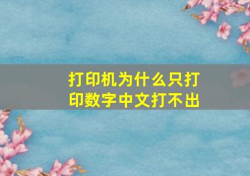 打印机为什么只打印数字中文打不出