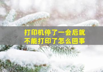 打印机停了一会后就不能打印了怎么回事