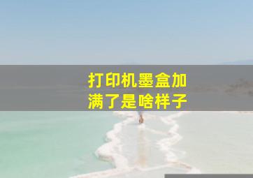 打印机墨盒加满了是啥样子