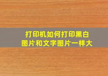 打印机如何打印黑白图片和文字图片一样大