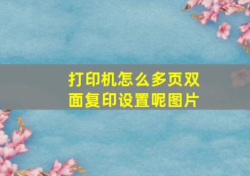 打印机怎么多页双面复印设置呢图片