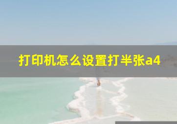 打印机怎么设置打半张a4