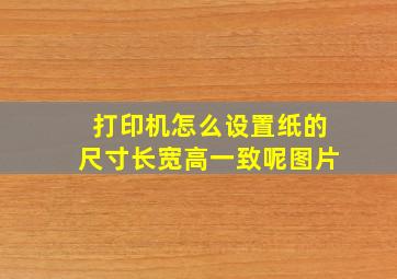 打印机怎么设置纸的尺寸长宽高一致呢图片