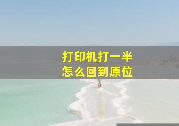 打印机打一半怎么回到原位