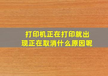 打印机正在打印就出现正在取消什么原因呢