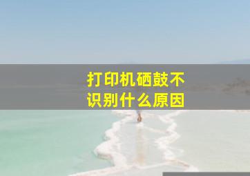 打印机硒鼓不识别什么原因