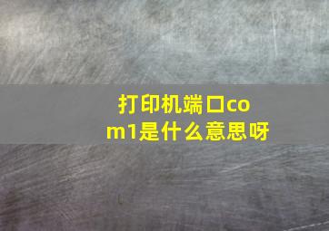 打印机端口com1是什么意思呀