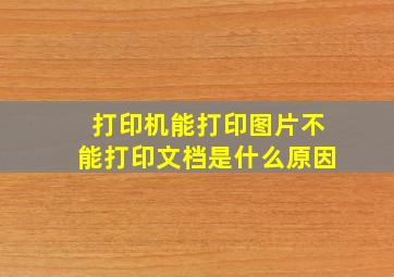 打印机能打印图片不能打印文档是什么原因