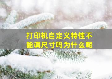 打印机自定义特性不能调尺寸吗为什么呢