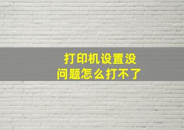 打印机设置没问题怎么打不了