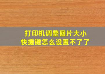 打印机调整图片大小快捷键怎么设置不了了