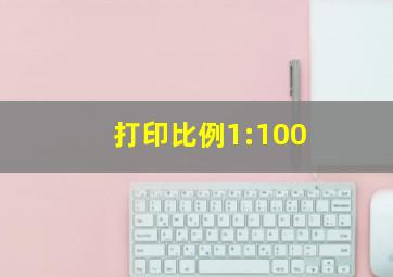 打印比例1:100