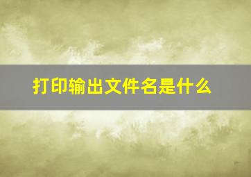 打印输出文件名是什么