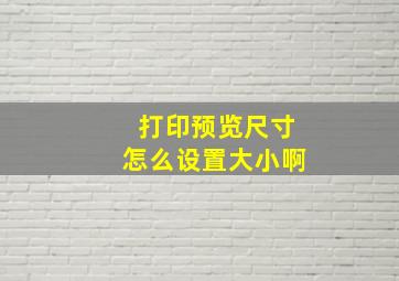 打印预览尺寸怎么设置大小啊