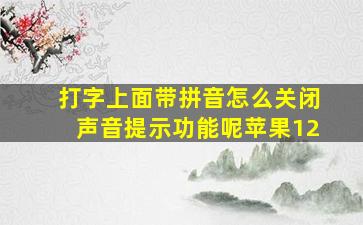 打字上面带拼音怎么关闭声音提示功能呢苹果12