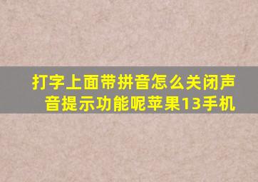 打字上面带拼音怎么关闭声音提示功能呢苹果13手机