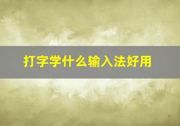 打字学什么输入法好用