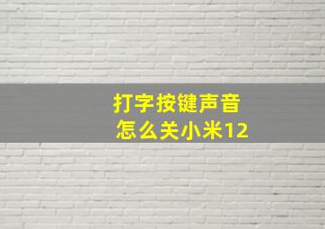 打字按键声音怎么关小米12