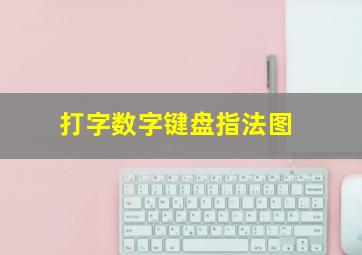 打字数字键盘指法图