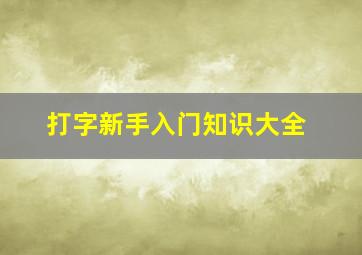 打字新手入门知识大全