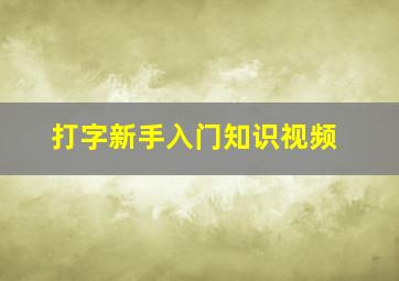 打字新手入门知识视频