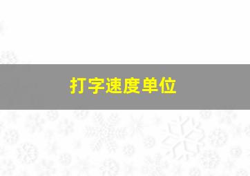 打字速度单位