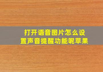 打开语音图片怎么设置声音提醒功能呢苹果