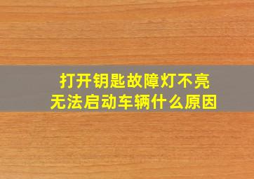 打开钥匙故障灯不亮无法启动车辆什么原因