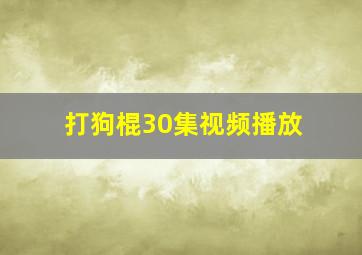 打狗棍30集视频播放