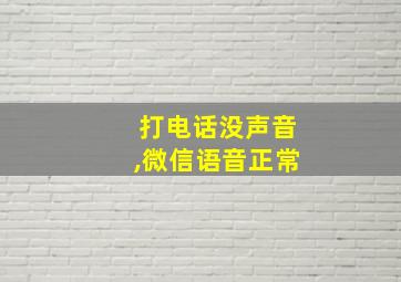 打电话没声音,微信语音正常