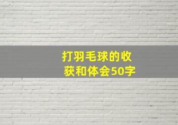 打羽毛球的收获和体会50字