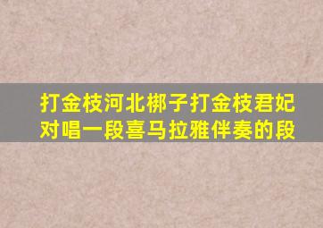 打金枝河北梆子打金枝君妃对唱一段喜马拉雅伴奏的段