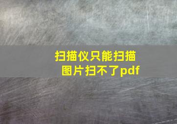 扫描仪只能扫描图片扫不了pdf