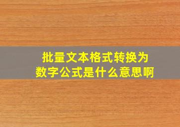 批量文本格式转换为数字公式是什么意思啊