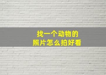 找一个动物的照片怎么拍好看