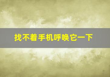 找不着手机呼唤它一下