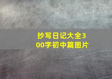 抄写日记大全300字初中篇图片