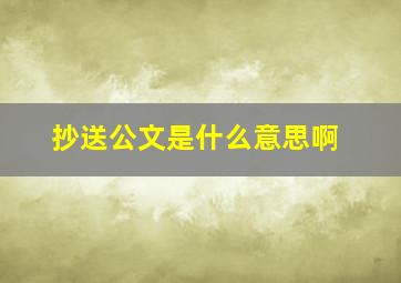 抄送公文是什么意思啊