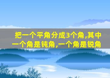 把一个平角分成3个角,其中一个角是钝角,一个角是锐角