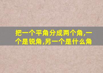 把一个平角分成两个角,一个是锐角,另一个是什么角