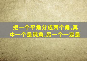 把一个平角分成两个角,其中一个是钝角,另一个一定是