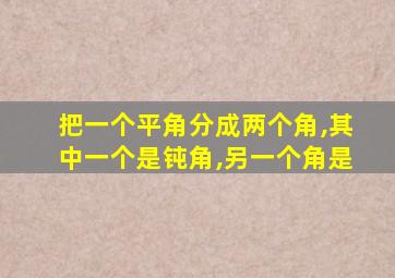 把一个平角分成两个角,其中一个是钝角,另一个角是