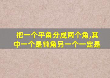 把一个平角分成两个角,其中一个是钝角另一个一定是