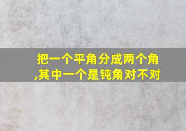 把一个平角分成两个角,其中一个是钝角对不对