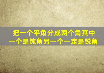 把一个平角分成两个角其中一个是钝角另一个一定是锐角