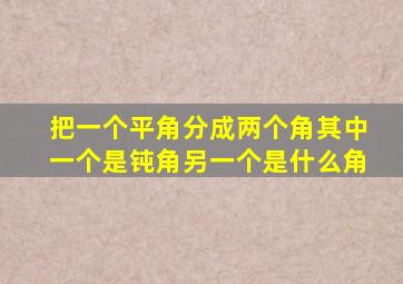 把一个平角分成两个角其中一个是钝角另一个是什么角